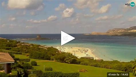 webcam stintino la pelosa|Sardinia .